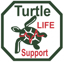 Turtle Life 